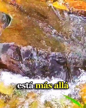 Dios te dice hoy: Yo tengo lo mejor para ti