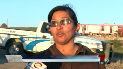 Hasta cinco años en prisión para los dueños de la jauría de Pitbulls