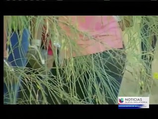 Vídeo: ¿Qué causa la inmigración forzada a los Estados Unidos?