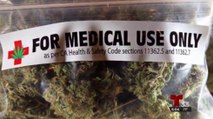 Pagan multas de mil dólares para operar los dispensarios de marihuana en Chula Vista