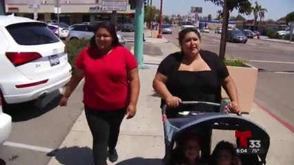 Piden 15 MDD para infraestructura para prevenir más muertes por atropellamiento en SD