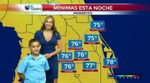 VIDEO: David Cruz el mini presentador del tiempo de esta semana