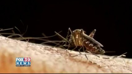 First Zika Virus reported in Laredo