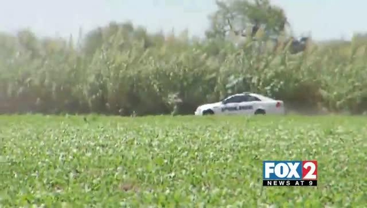 Body Found in Brownsville