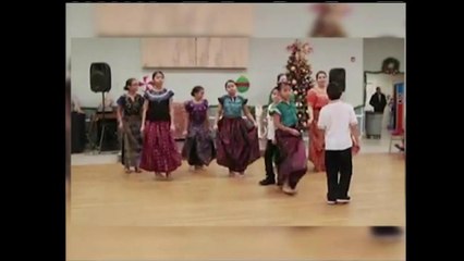 VIDEO: Ofrecen subsidios para promover cultura latina
