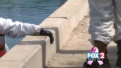 Port Isabel Oil Spill Gets Cleaned Up