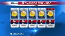 Pronóstico del tiempo para el 18 de octubre de 2016 Tampa