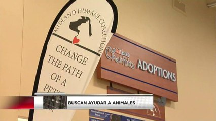 Buscan fondos para construir nuevo centro de mascotas en Midland