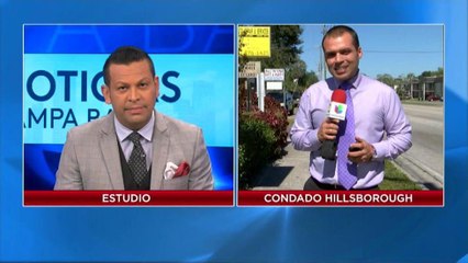 VIDEO: Recomendaciones para buscar un empleo