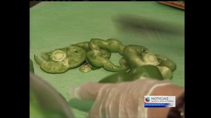 VIDEO: ¿Cómo saber si un restaurante es bueno o malo?