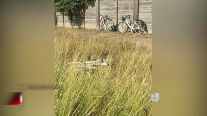 Utilizan bicicletas públicas para trasladar indocumentados