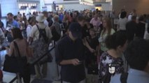 VIDEO: Florida rompe récord en visita de turistas