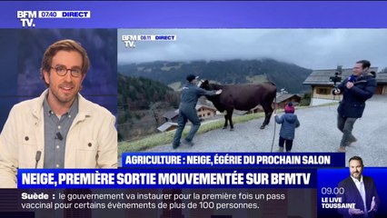 Bousculé par la vache Neige en direct sur BFMTV, le petit Noé se porte bien