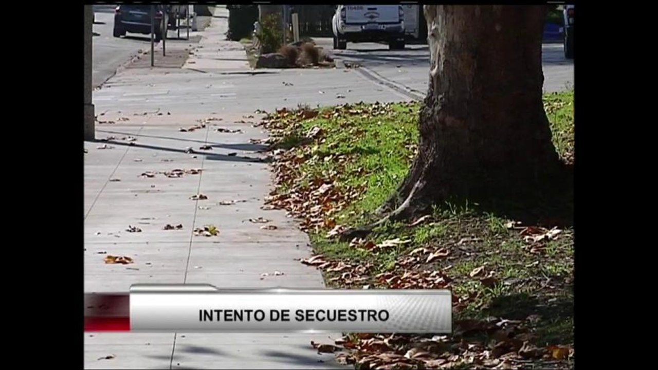 VIDEO: intento de secuestro a menores en Monterey