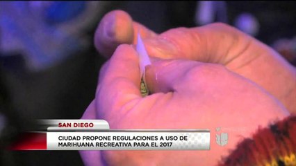 Presentan las reglase del juego para la marihuana recreativa en SD