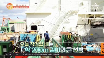 중졸 촌놈 해현 씨, 세계 1등 국가대표 기능한국인 되다!