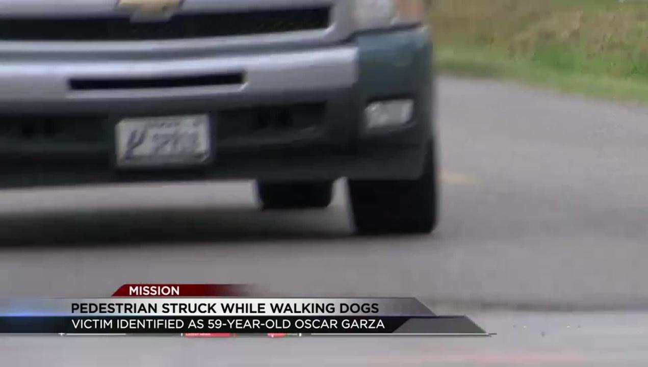 Pedestrian Fatally Struck While Walking Dogs