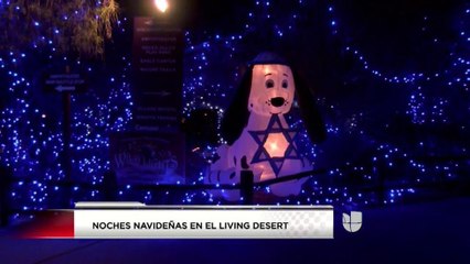 Actividades navideñas