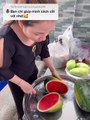 Cô gái dạy cắt trái cây