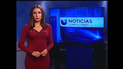 Como prevenir información falsa por páginas de internet