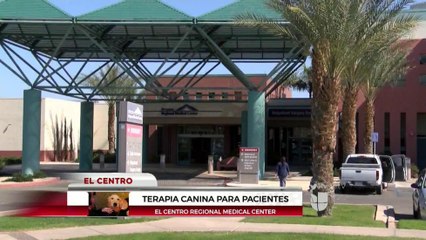 Implementan nuevos programas de terapia alternativa