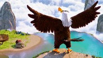 La routine matinale dégueu d'Aigle Vaillant | Angry Birds: Le film | Extrait VF