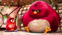 La thérapie de groupe avec Big Bird | Angry Birds: Le film | Extrait VF