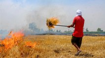 Pollution: Why farmers are forced to burn stubble?