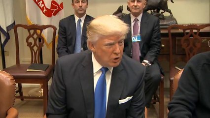 Trump's First 100 Days Update