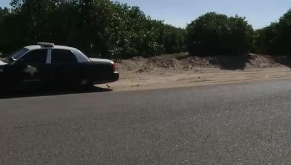 Five Detained After Leading Police on Pursuit