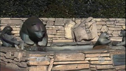 VIDEO: Proyecto en SLO pretende eliminar botellas de plastico de agua