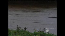 VIDEO: Autoridades monitorean el río Pajaro para evitar inundaciones