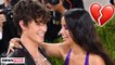 Shawn Mendes & Camila Cabello BREAK-UP After 2 Years Of Dating!