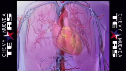 Síndrome del corazón roto