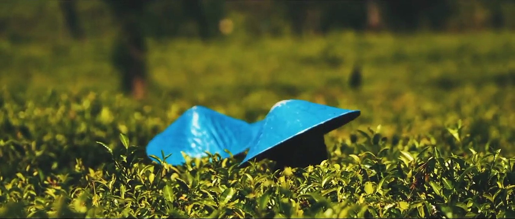 Indonesia Cinematic Video