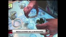 VIDEO: Líderes en condado de Santa Cruz y la marihuana