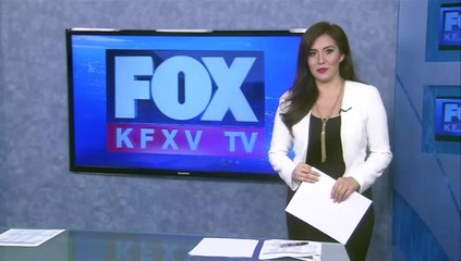 Traffic Stop Leads to Discovery of Cocaine in Shoe