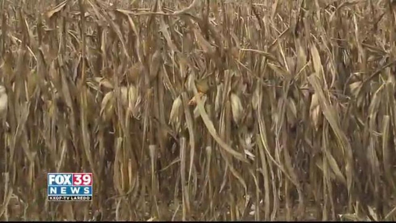 Mexican Senator Proposes New Trade Projects