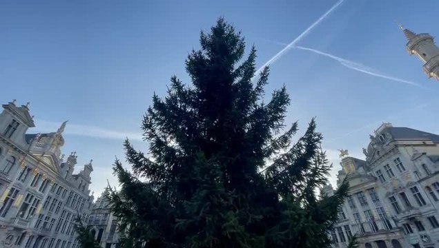 Le sapin de Noêl est installé à la Grand Place