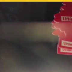 VIDEO: Patrulla Fronteriza detiene a hispano por “manejar sospechosamente”