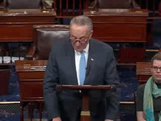 Schumer: Nunes parece que proteje a Trump