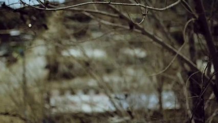 Alimentando esperanzas pt. 2