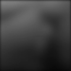 Podría ir a la cárcel por no sacrificar a su perro