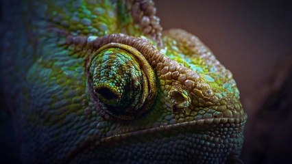 Présentation de l'eufy Floodlight Cam 2 Pro