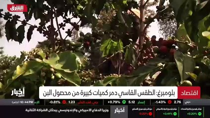 ...فضلا عن الاختناقات التي تشهدها سلاسل الت...