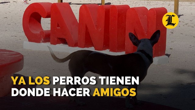 Ya los perros tienen donde hacer amigos