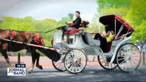 As carruagens, símbolo do Central Park, em Nova York, podem ser trocadas por carros elétricos.