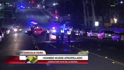 Conductor se fuga luego de accidente fatal en San Diego