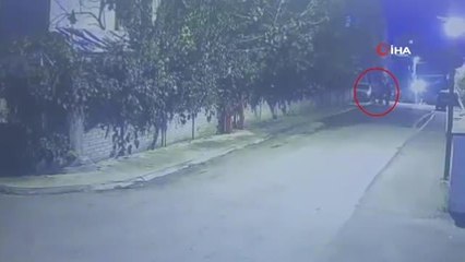 Pendik'te güvercin çalan hırsızlık zanlıları kıskıvrak yakalandı