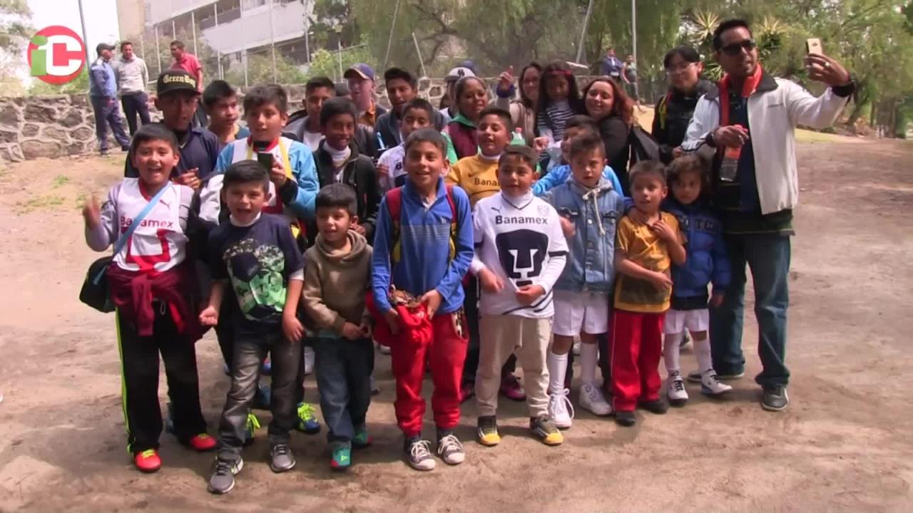 Los cachorros felinos quieren merendar pollito